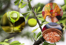 Uncountable benefits of the green gold: Argan oil of Morocco Uncountable benefits of the green gold: Argan oil of Morocco