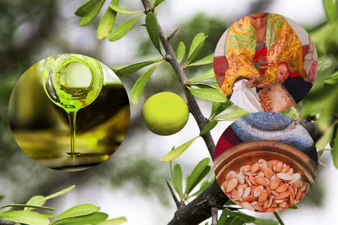 Uncountable benefits of the green gold: Argan oil of Morocco